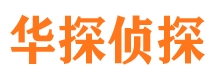 银海市私家侦探